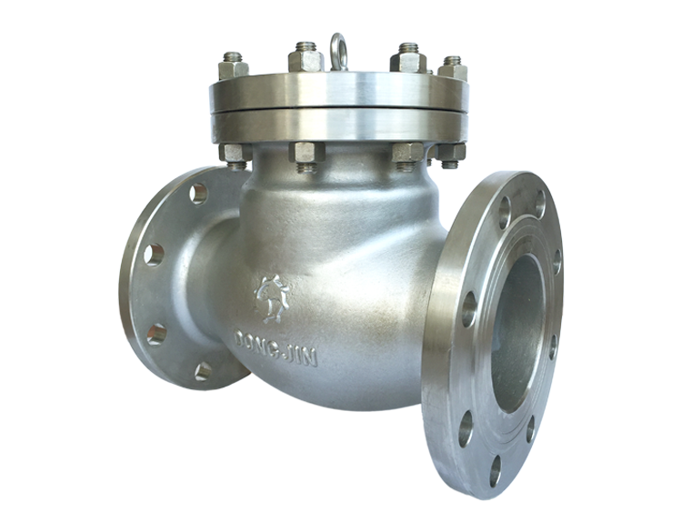 Check Valve